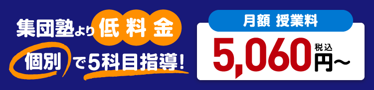 集団塾より低料金。個別で5科目指導！月謝は小学生の場合、2教科で税込10,296円から