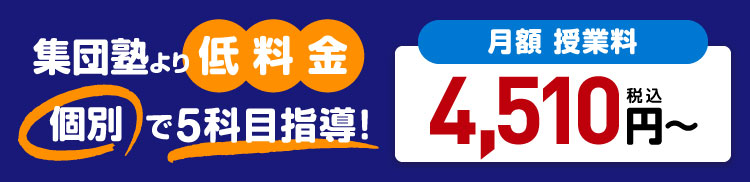 集団塾より低料金。個別で5科目指導！月額授業料4,510円〜（税込）