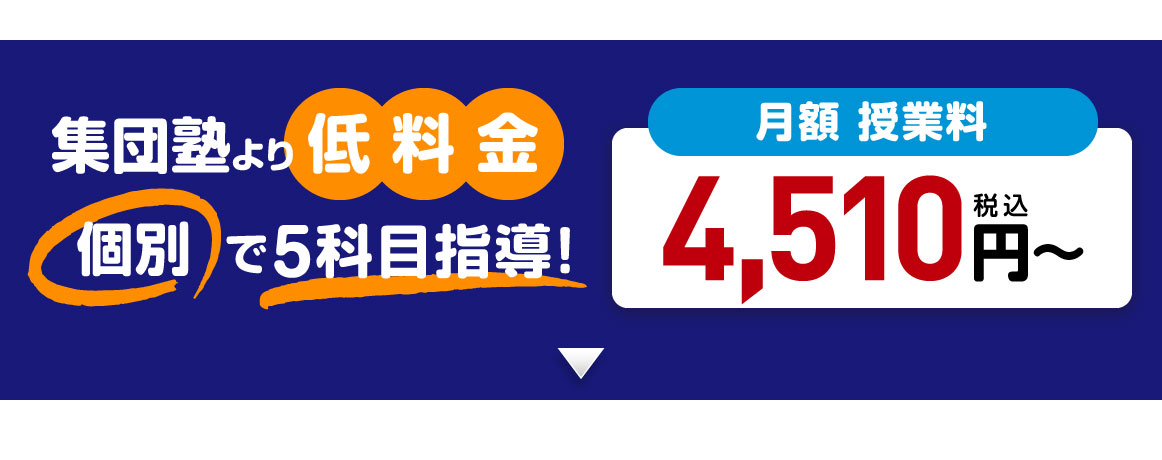 集団塾より低料金 個別で5科目指導！月額授業料4,510円〜（税込）